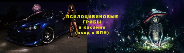 тгк Алексин