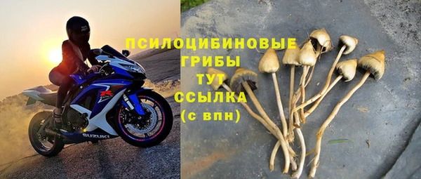 тгк Алексин