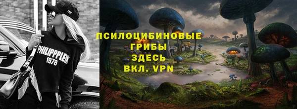 соль ск Алексеевка