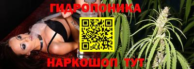 ПСИЛОЦИБИНОВЫЕ ГРИБЫ Первоуральск