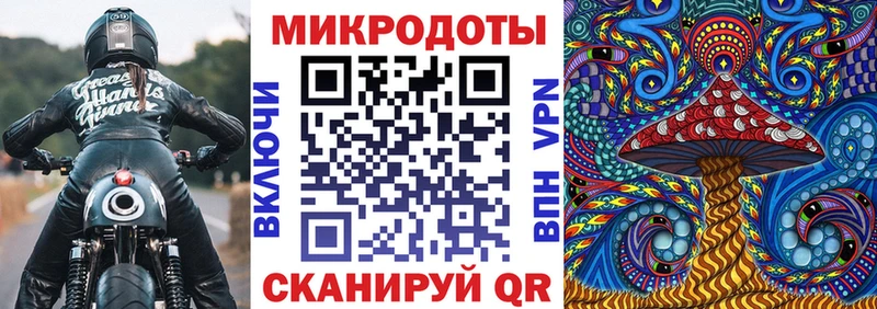 хочу наркоту  Глазов  Псилоцибиновые грибы Cubensis 