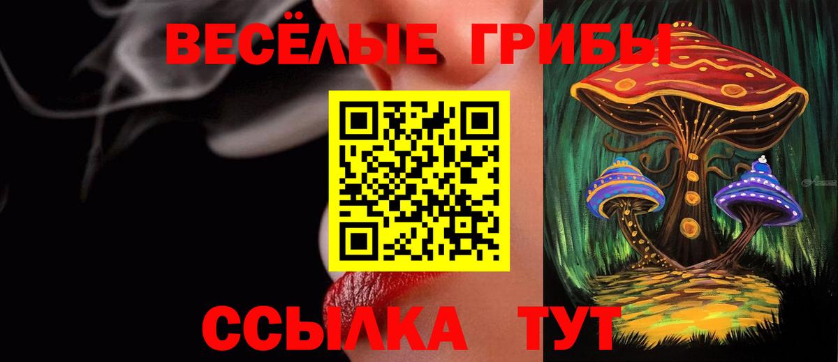 Галлюциногенные грибы Psilocybe  Вход с VPN  Глазов 